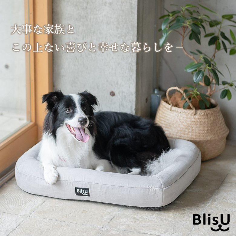 売り切れ必至 Blis U ペットベッド Lサイズ ブリス 犬用ベッド 猫用ベッド クッション 丸洗い 洗える 洗濯機 高反発 体圧分散 ベッド 気持ちいい 快適 立体網状構造体 C Core3d ポリエチレンファイバー 日本製 Whitesforracialequity Org