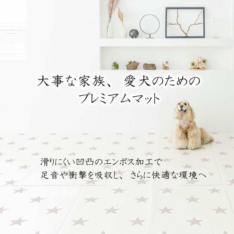 ディパン
