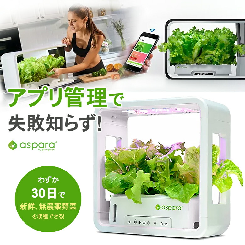 水やり不必要！適用業務保護することの 水耕作りだすキットアスパラガーデン LITE クランク一揃いの道具 身寄り家庭菜園 ガーデニング 未経験者 30日で穫り入れる 室内用 蔬菜 細密画園庭 身寄り家庭菜園 種から蔬菜や草本 お花 水やり不必要 お取りつくろう不必要 LEDともし火 蔬菜