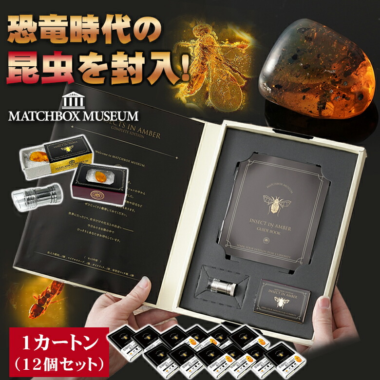恐竜時代の昆虫！ 虫入り琥珀のコレクション 1カートン(12個セット) マッチ箱博物館 科学雑貨 化石 昆虫 虫 琥珀 マッチ箱 観察キット 開封 開封の儀 ミステリーボックス マイクロスコープ 石 自由研究 ガチャ がちゃ 宝石 楽しい コレクション プレゼント ギフト 子供 大人