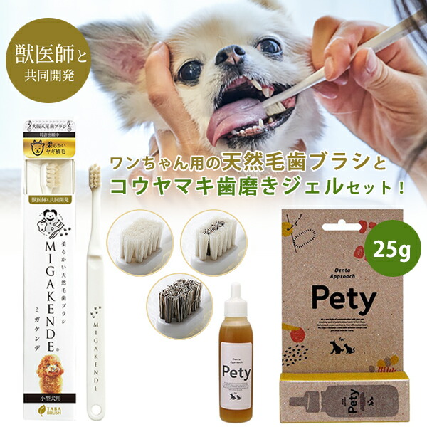 楽天市場】Petden PLUS ペットデンプラス ペットの歯垢 歯石
