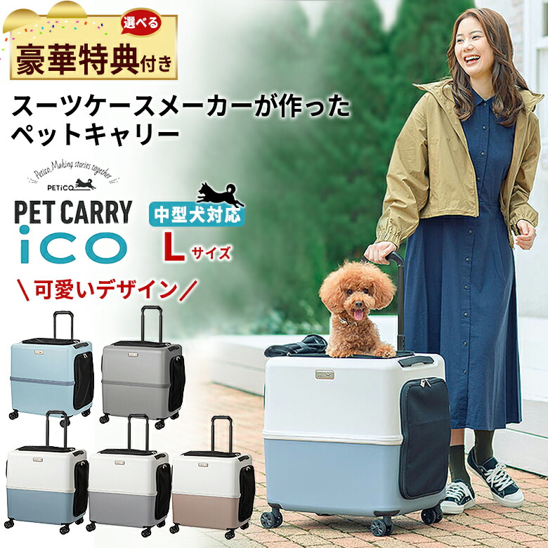 PET CARRY iCO Mサイズ 中型犬用キャリー PETiCO ペットキャリー 選べる豪華特典付き ペチコ PET CARRY