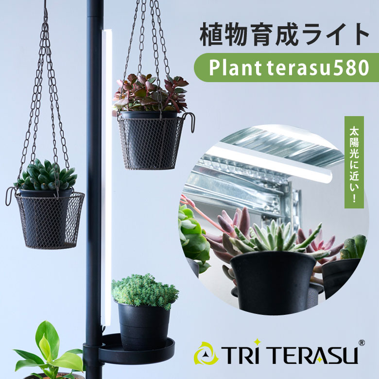 TRiTERASU 工業プラント中庭580 草木育みそだてる点火装置 草木 点火装置 観葉草木 多肉植物 室内作りだす 身寄り家庭菜園 LED生産ライン点火装置 赤ちょうちん手合い 太陽の光 磁石 棚用 か細い腹積もり 棚幅60 日本製  点火装置 卓上 点火装置 照明ランプ LED LED点火装置 取り組み中庭