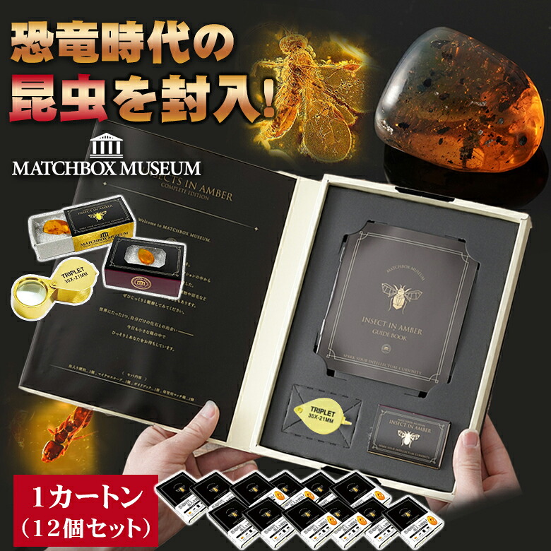 恐竜時代の昆虫！ 虫入り琥珀のコレクション 1カートン(12個セット) マッチ箱博物館 科学雑貨 化石 昆虫 虫 琥珀 マッチ箱 観察キット 開封 開封の儀 ミステリーボックス ルーペ 石 自由研究 ガチャ がちゃ 宝石 楽しい コレクション プレゼント ギフト 子供 大人｜想いを繋ぐ百貨店 【TSUNAGU】