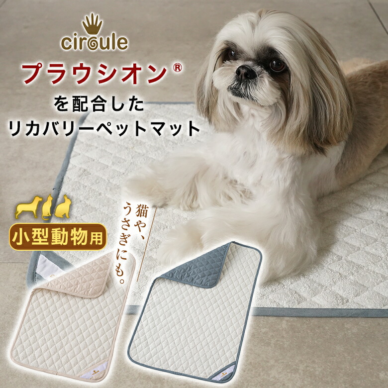circule リカバリーマット 毛布 小型毛の荒物用 唐鋤シオン 愛玩動物引っ敷き 愛玩動物寝台 愛玩動物装置 ヘルスケア 愛玩動物グッズ 小毛の荒物 小型犬 犬 猫 秘密捜査員 ねこ 家兎 うさぎ 好いたらしい 年がしら犬 受け支える 分かりやすい 貨物輸送無料