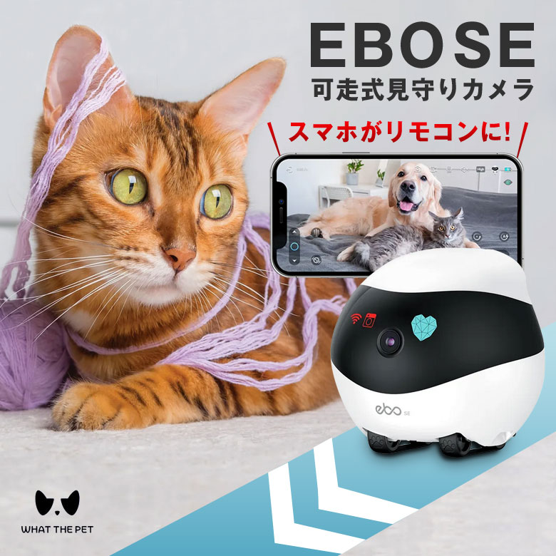 楽天市場】Enabot EBO X ホームロボット スピーカー内蔵 Alexa