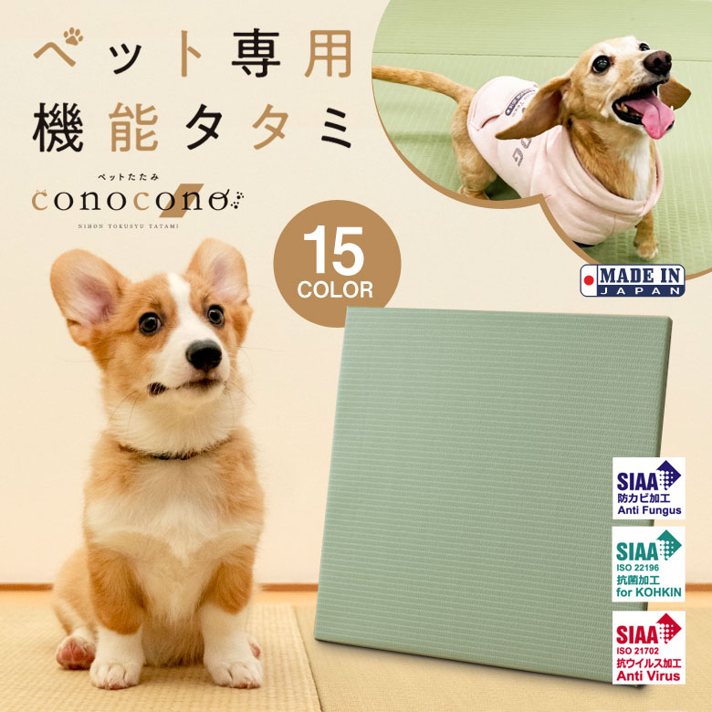 SNSで話題 最短翌日お届け MEZ1CX4L7Z2 [MEZ1CX4L7Z2]