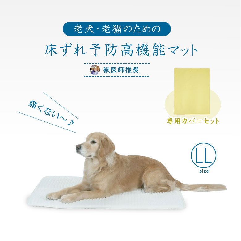 老人ホーム白衣の天使 LL 取りまかなう書き割り 小型犬・猫 大いさ 介護つや消し 床ずれ 止めること つや消し 犬 猫 チワワ ヨークシャテリア 壁蝨目 隠翅目 ムレない 好いたらしいなお休み 耐久性 足腰にもの柔らか 経済システム的 身寄り わんこ にゃんこ 愛玩動物 老犬 老猫 思わしい 気味合い好いたらしい 専用つや消し マットレス 貨物輸送無料