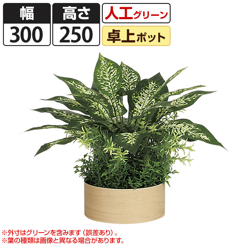 【P5倍25日20～24時限定】ベルク フェイクグリーン インテリアグリーン 観葉植物 人工 卓上ポット GR4271｜オフィス家具通販のオフィスコム