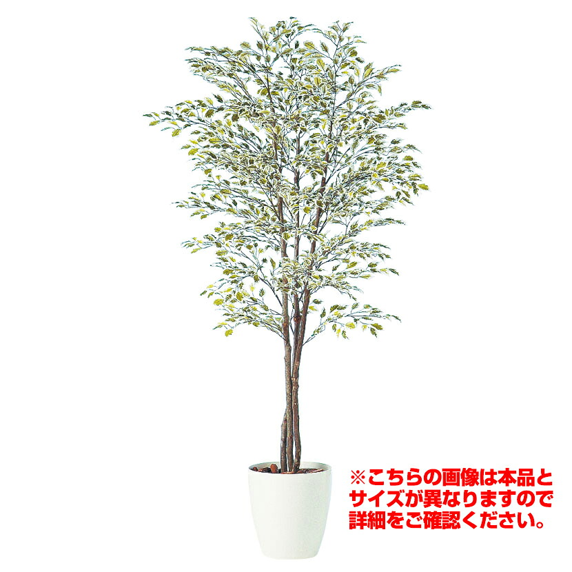 観葉植物 人工 樹木 ベンジャミナスターライトトリプル 高さ1500mm Mサイズ 鉢:RP-265|オフィス家具通販のオフィスコム