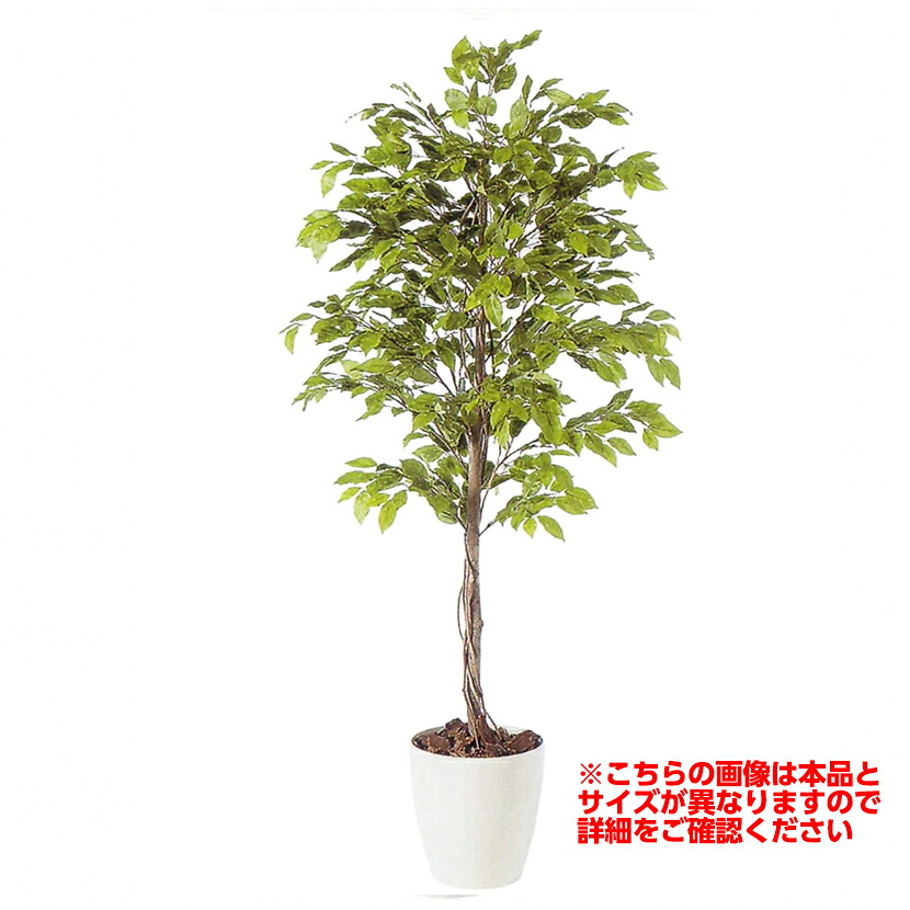 観葉植物 人工 樹木 ベンジャミナスプラッシュ 高さ1500mm Mサイズ 鉢:RP-265|オフィス家具通販のオフィスコム