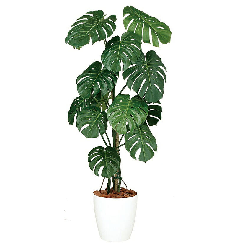 観葉植物 人工 樹木 モンステラバイン 高さ1500mm Mサイズ 鉢:RP-300｜オフィス家具通販のオフィスコム 38,344円