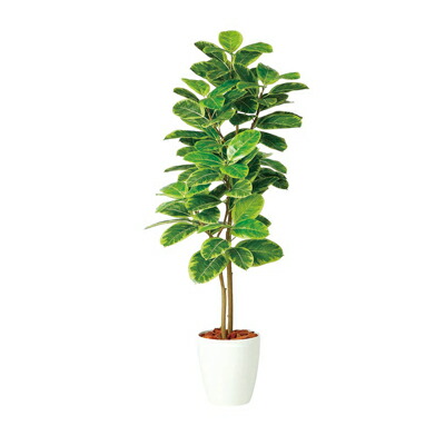 観葉植物 人工 樹木 アルテシマ 高さ1500mm Mサイズ 鉢:RP-265｜オフィス家具通販のオフィスコム