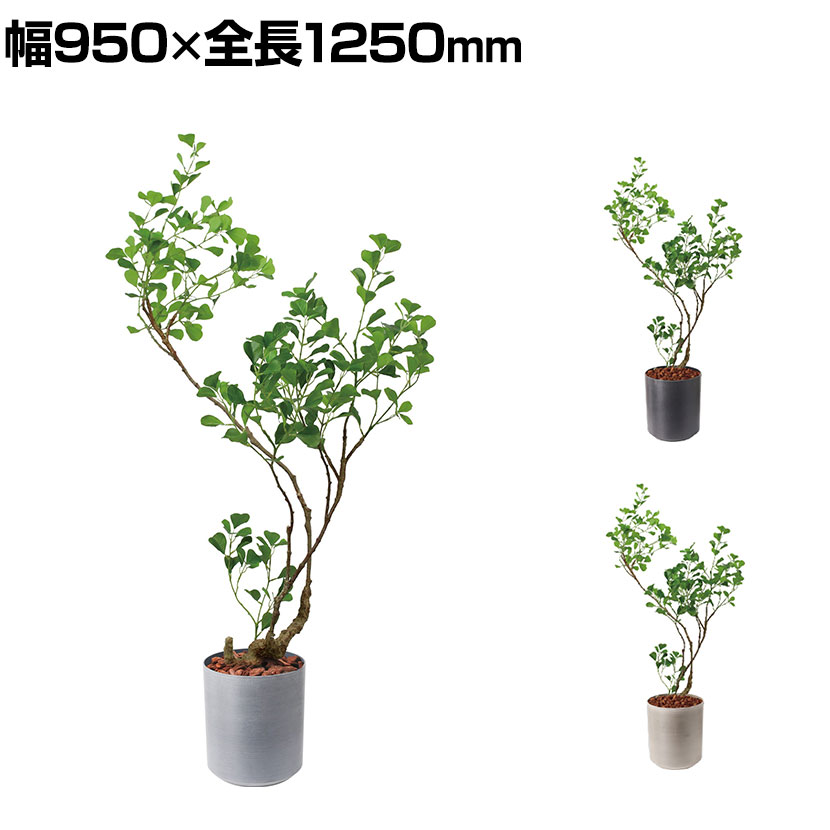 ポピー 観葉植物 人工樹木 フィカストライアンギュラス 日本製 国産 幅950&times;全長1250mm フェイクグリーン 葉 造花 インテリア オフィス おしゃれ｜オフィス家具通販のオフィスコム