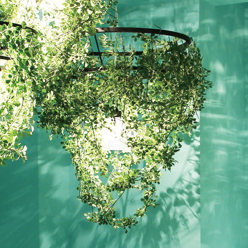 グリーン葉装飾ペンダントライト 楽天市場】【白熱電球付き】1灯 ペンダントライト フォレスティ ライト