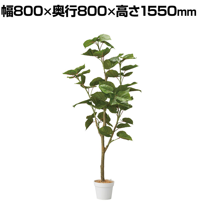 【P5倍25日20~24時限定】観葉植物 人工樹木 フェイクグリーン インテリアグリーン 造花 フィカスウンベラータ 高さ1550mm|オフィス家具通販のオフィスコム