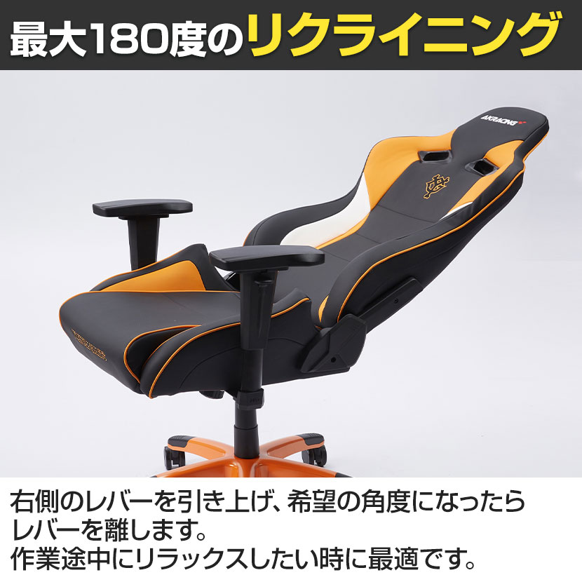 AKRacing(エーケーレーシング) Pro-X V2 ランバーサポート