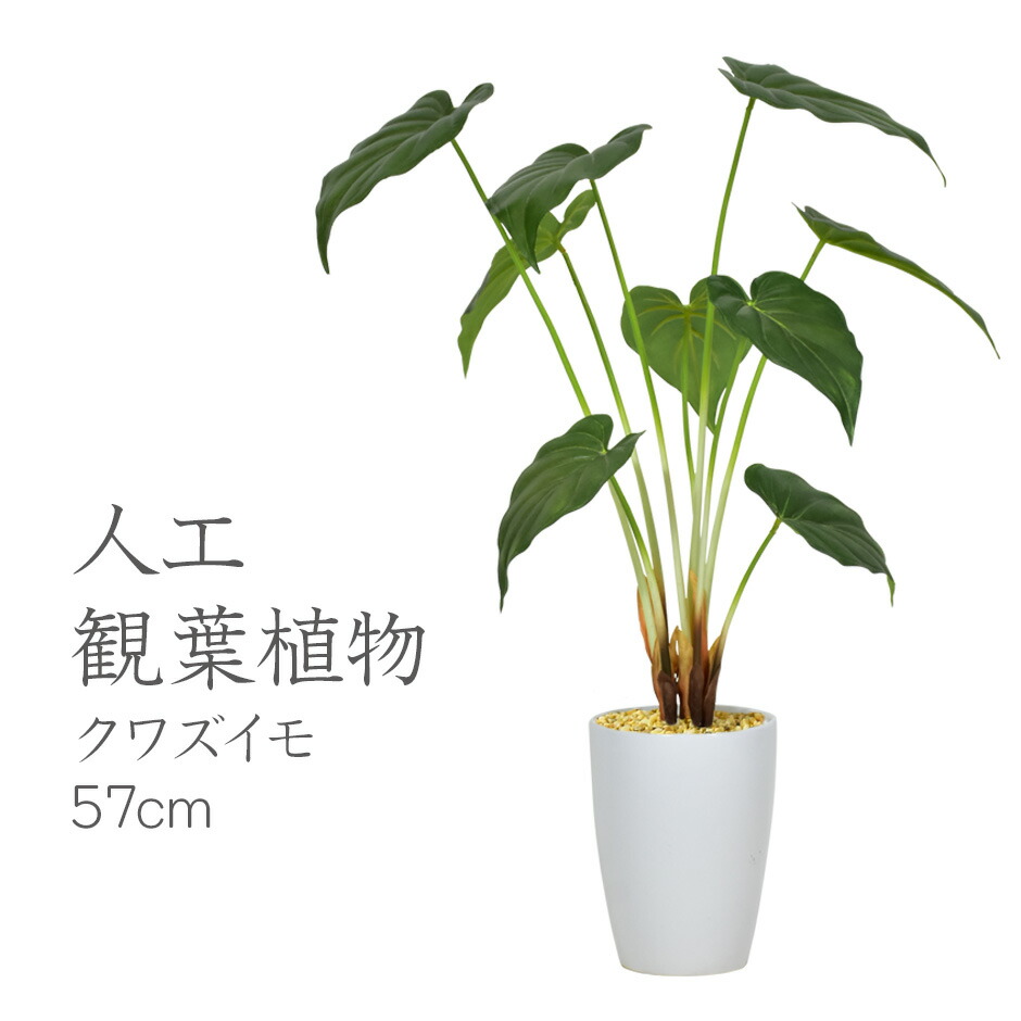 人工観葉植物 光触媒 クワズイモ57cm 水やり不要 高さ57 インテリアグリーン 観葉植物 造花クワズイモ57cm 送料無料 格安