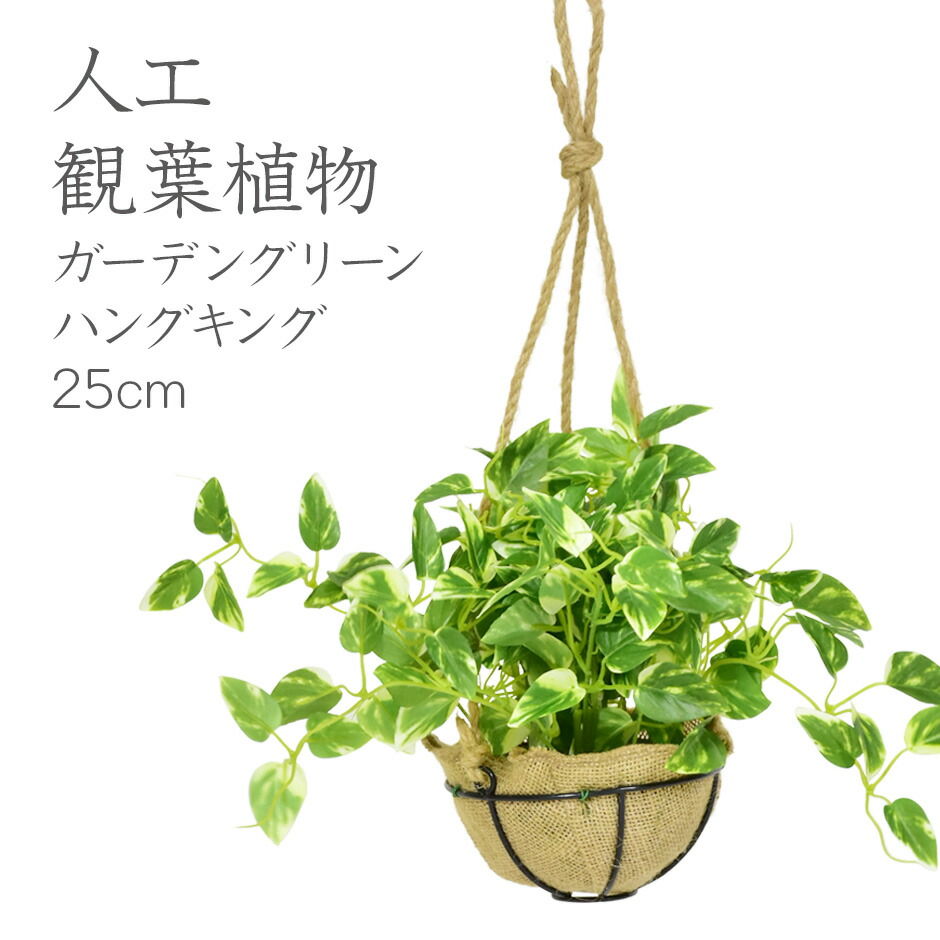 楽天市場 人工観葉植物 光触媒 ガーデングリーン ハンギング25cm 水やり不要 高さ25 インテリアグリーン 観葉植物 造花ガーデングリーン ハンギング25cm 送料無料 Officedoris