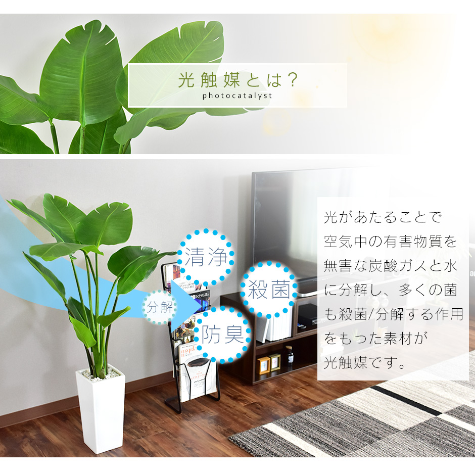 楽天市場 送料無料 一部地域除く 観葉植物 人工観葉植物 水やり不要 光触媒 インテリアグリーン フェイクグリーン オーガスタ 新生活応援 Officedoris