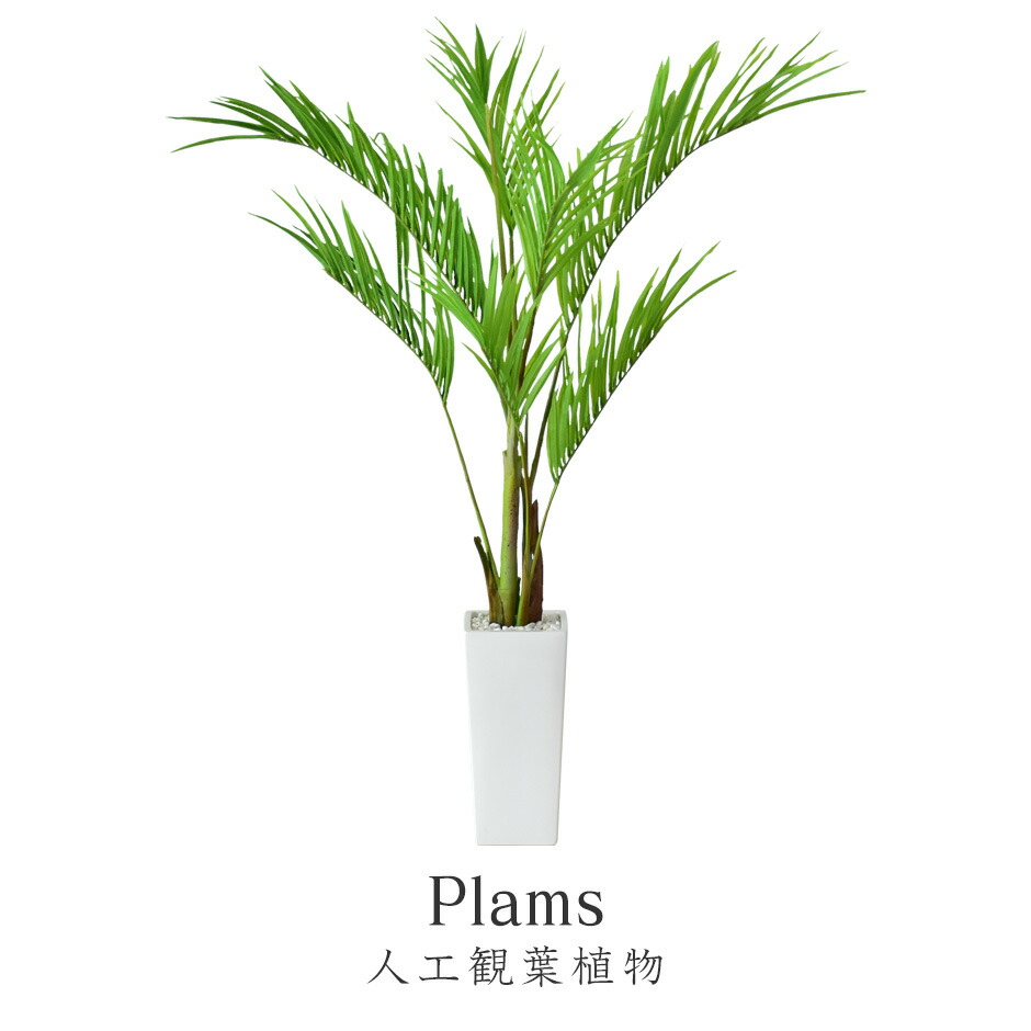 春夏寝具特集