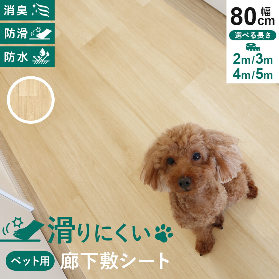 春夏寝具特集