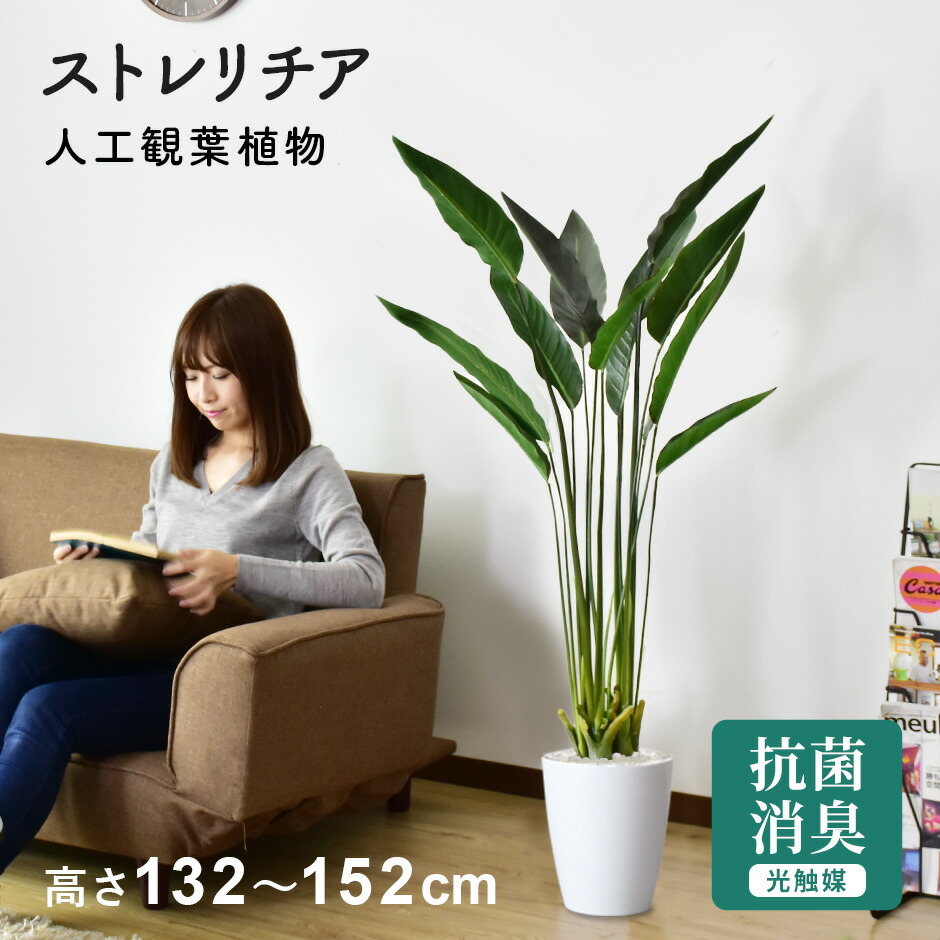 春夏寝具特集