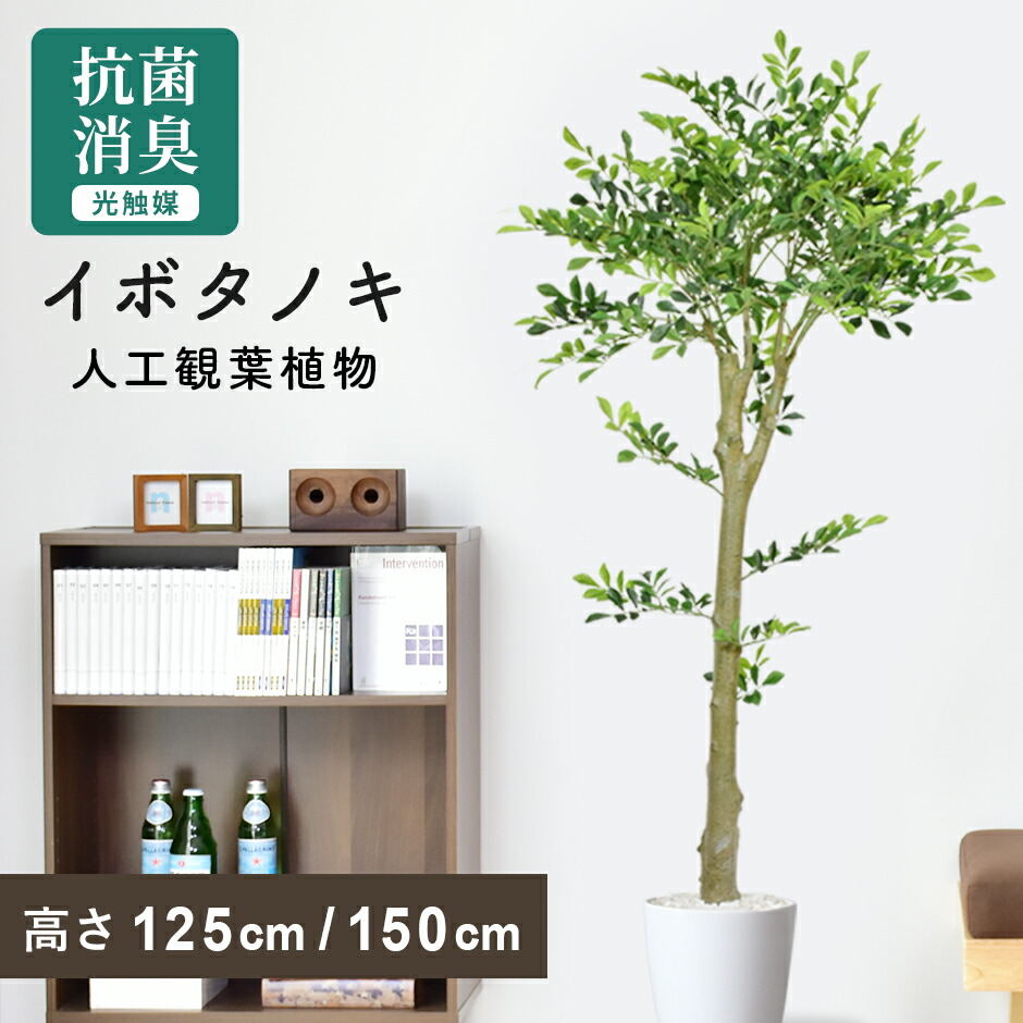春夏寝具特集