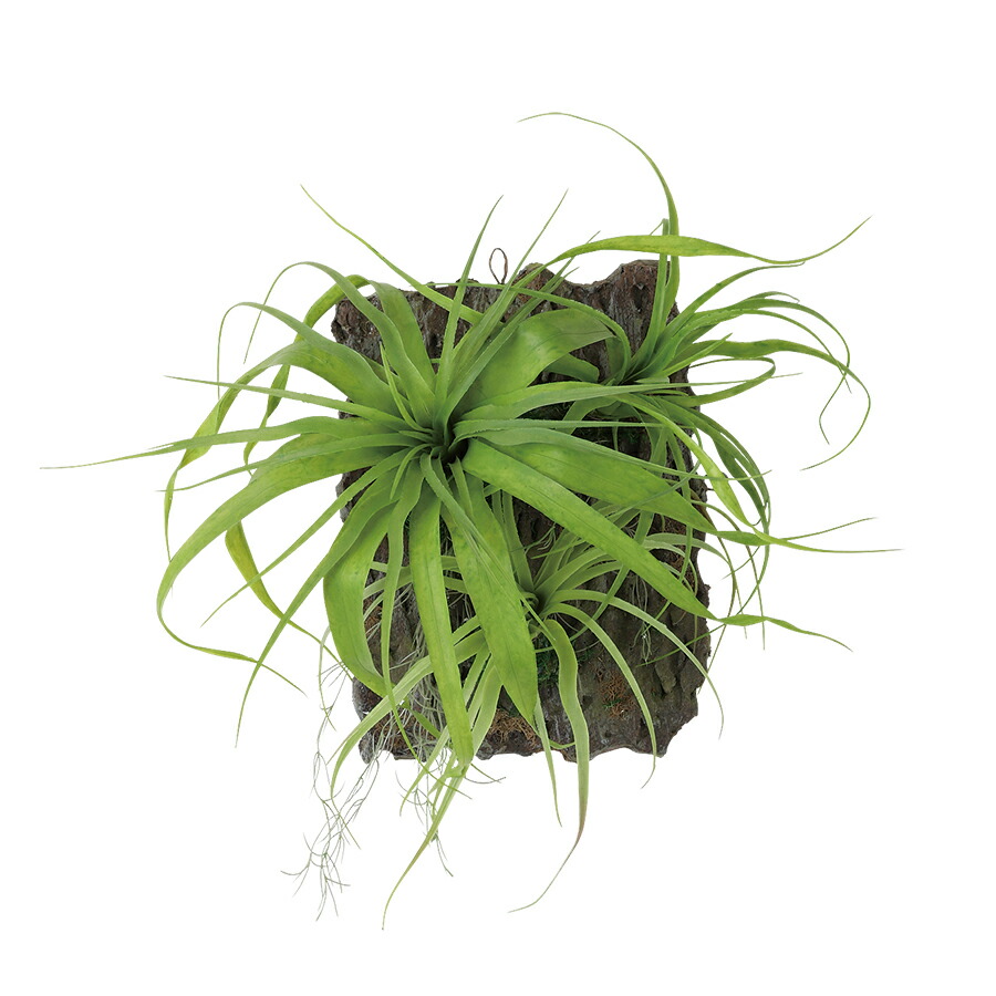 フェイクグリーン【 チランジア デコ 】幅35 × 奥行20 × 高さ40cmオフィスグリーン 観葉植物 フェイク 人工観葉植物 装飾 アレンジ おしゃれ 吊る 巻く 置く つける|オフィスグリーン店