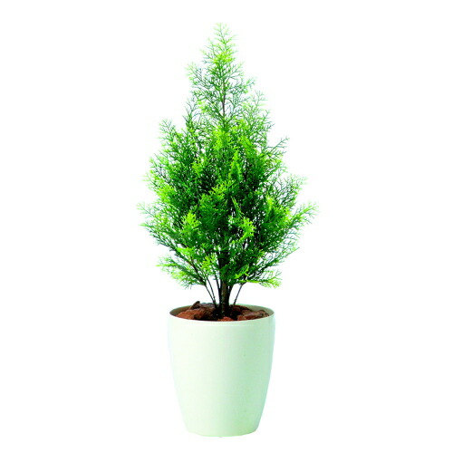 人工観葉植物 60 Off ヒバ Rp鉢タイプ W25cm H70cmフェイクグリーン お中元ヒバ お歳暮 設立祝い 移転祝い 開店祝い お祝い オフィス 事務所 抗ウイルス 抗菌 脱臭 造花 人工樹木 オフィスグリーン インテリアグリーン 人工観葉植物