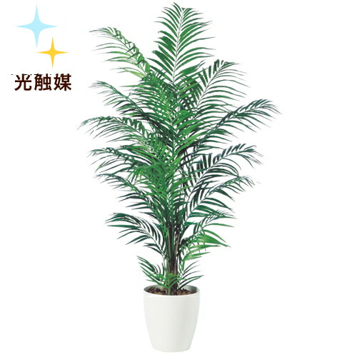 送料無料 光触媒加工 アレカヤシ Rp鉢タイプ W90cm H180cm光触媒加工で脱臭 抗菌 抗ウィルス効果フェイクグリーン 光触媒 人工観葉植物 インテリアグリーン オフィスグリーン 人工樹木ヤシ アレカヤシ Elteachermurcia Com