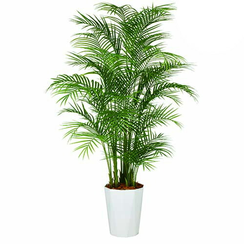 フェイク 新商品 Pe 人工観葉植物 移転祝い 送料無料 クォーツ鉢タイプ インテリアグリーン インテリアグリーン 観葉植物 新商品 アレカヤシ フェイクグリーン 人工観葉植物 設立祝い 造花アレカヤシ ヤシ オフィスグリーン店 代引不可 造花 開店祝い 大型