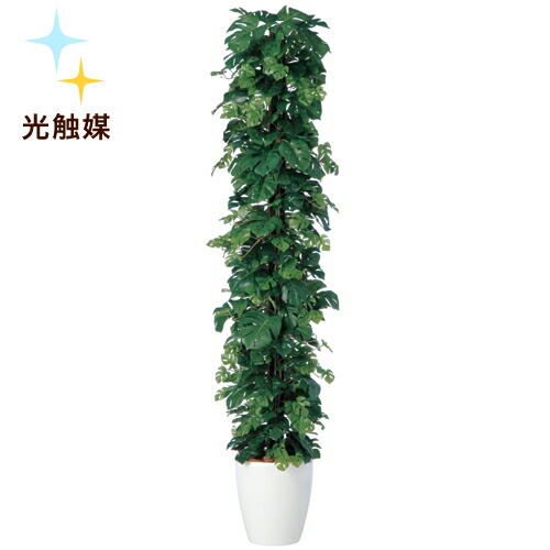 送料無料 光触媒加工 ヒメモンステラ 造花 へゴ dx Rp鉢タイプ マット W35cm H180cm光触媒加工で脱臭 壁掛け 抗菌 抗ウィルス効果フェイクグリーン 光触媒 人工観葉植物 インテリアグリーン オフィスグリーンモンステラ ヘゴ オフィスグリーン店 フェイクグリーン 送料無料 光触媒加工 ヒメモンステラ 造花 へゴ dx Rp鉢タイプ マット W35cm H180cm光触媒加工で脱臭 壁掛け 抗菌 抗ウィルス効果フェイクグリーン 光触媒 人工観葉植物 インテリアグリーン オフィスグリーンモンステラ ヘゴ オフィスグリーン店 フェイクグリーン