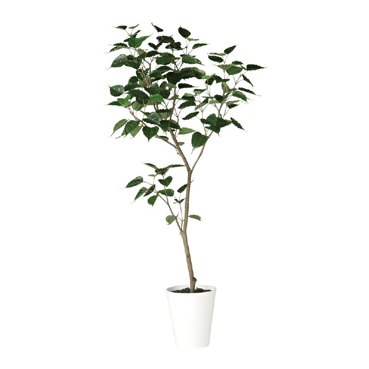 新商品 送料無料W80×H180cmフェイクグリーン 人工観葉植物 インテリアグリーン オフィスグリーン 人工樹木 造花 脱臭 抗菌 抗ウイルス 事務所 オフィス お祝い 開店祝いインドボダイジュ