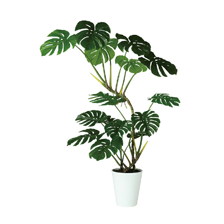 楽天市場 新商品 送料無料 ワイルドモンステラ 簡易ポット W110 H150cmフェイクグリーン 人工観葉植物 インテリアグリーン オフィスグリーン 人工樹木 造花 脱臭 抗菌 抗ウイルス 事務所 オフィス お祝い 開店祝いモンステラ オフィスグリーン楽天市場店