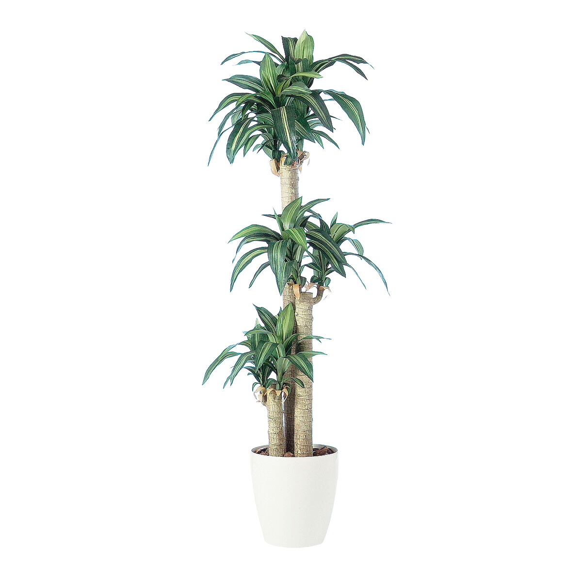 フェイクグリーン【 光触媒 マッサンゲアナ 】幅70 &times; 奥行70 &times; 高さ170cmオフィスグリーン 観葉植物 フェイク 人工観葉植物 大型 開業祝い 開店祝い 移転祝い 新築祝い 贈り物 おしゃれ｜オフィスグリーン店 32,793円