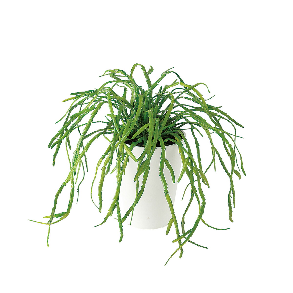 フェイクグリーン【 リプサリス 】 幅30 × 奥行30 × 高さ25cm オフィスグリーン 観葉植物 フェイク 人工観葉植物 卓上 開業祝い 開店祝い 移転祝い 新築祝い 贈り物 おしゃれ