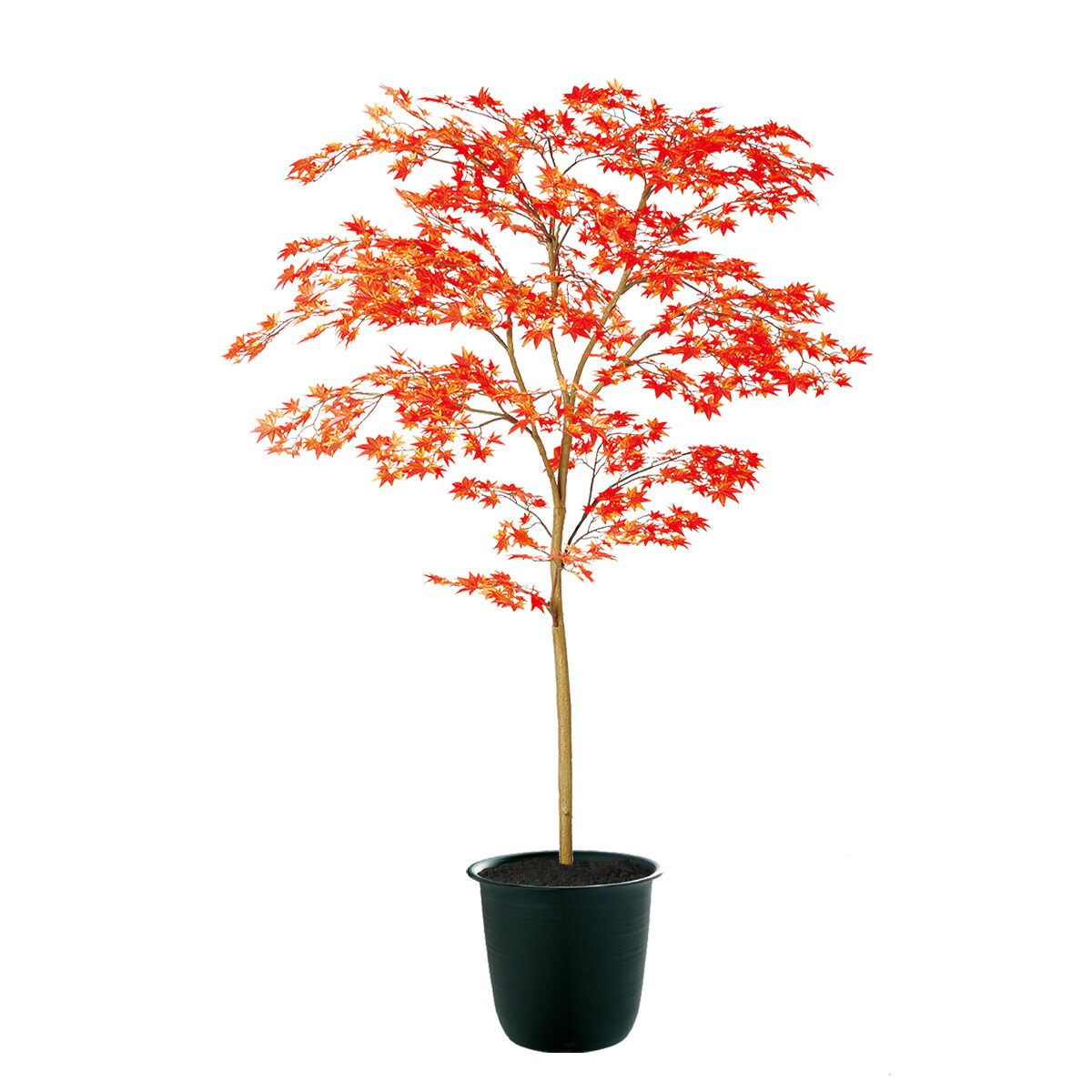 フェイクグリーン【 光触媒 ヤマモミジ RED FST 】 幅100 × 奥行90 × 高さ150cm オフィスグリーン 観葉植物 フェイク 人工観葉植物 大型 開業祝い 開店祝い 移転祝い 新築祝い 贈り物 おしゃれ 34,354円