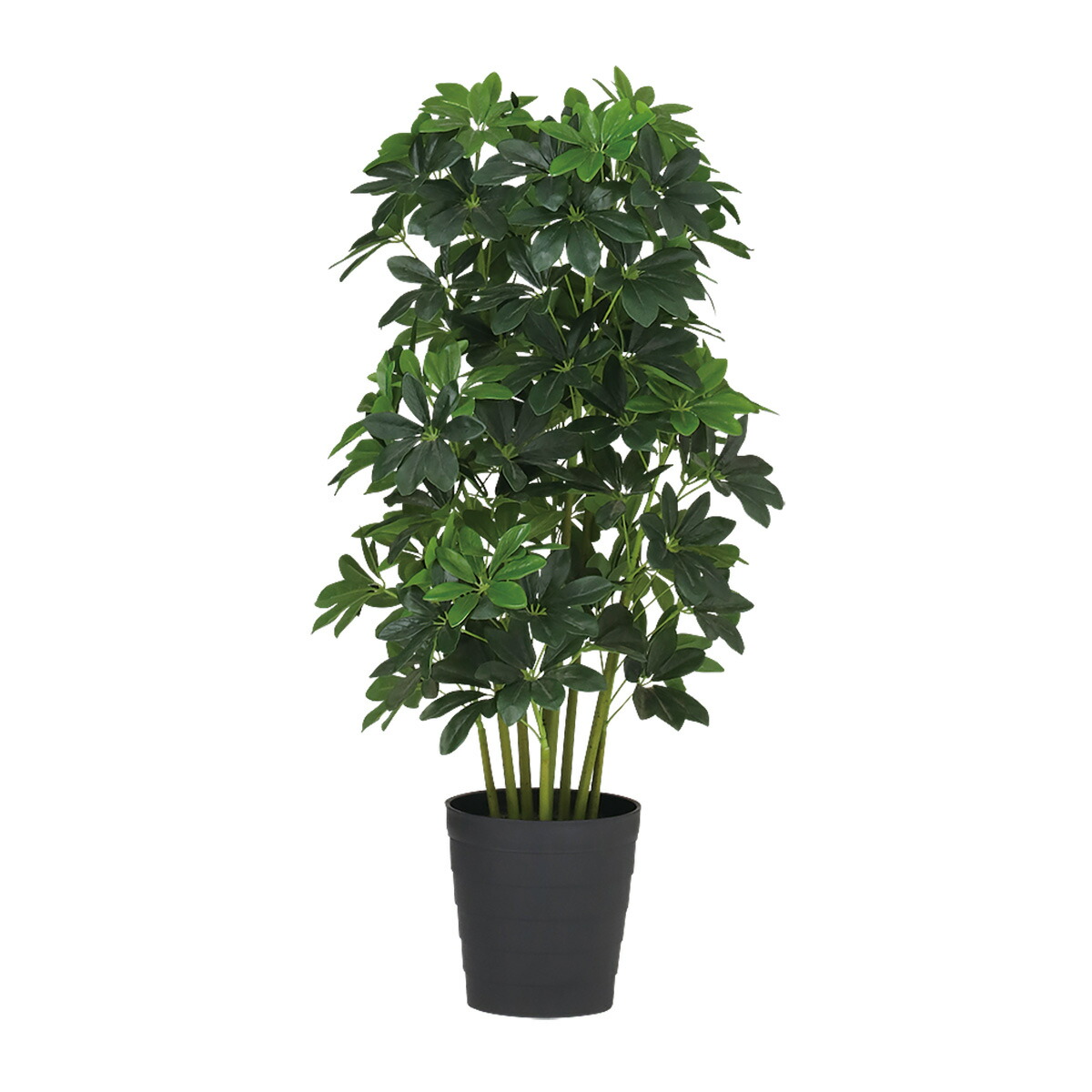 光触媒　人工観葉植物　フェイクグリーン　ベンガルボダイジュコアッド鉢付き 楽天市場】＼エントリーでP10倍／ フェイクグリーン 観葉植物