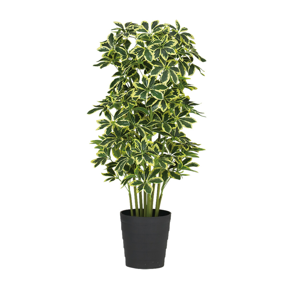 光触媒　人工観葉植物　フェイクグリーン　ベンガルボダイジュコアッド鉢付き 楽天市場】＼エントリーでP10倍／ フェイクグリーン 観葉植物