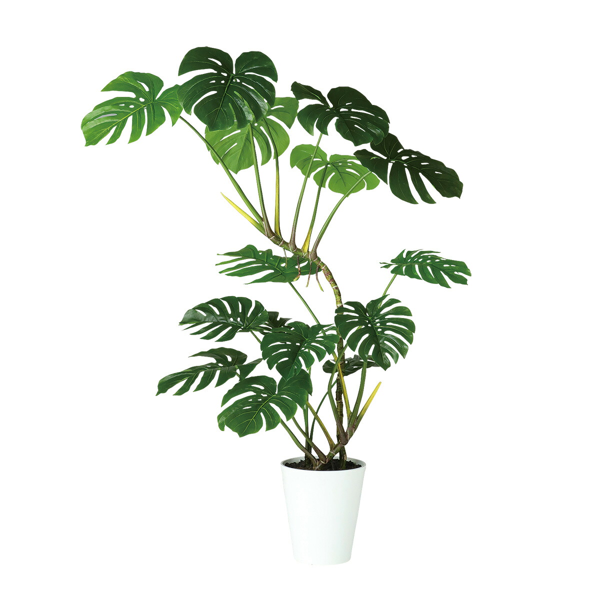 フェイクグリーン【 光触媒 ワイルドモンステラ 】 幅100 × 奥行70 × 高さ160cm オフィスグリーン 観葉植物 フェイク 人工観葉植物 大型 開業祝い 開店祝い 移転祝い 新築祝い 贈り物 おしゃれ