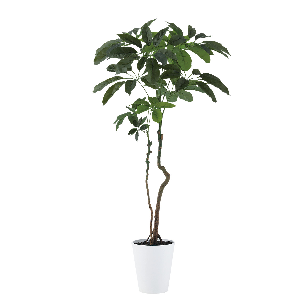 フェイクグリーン【 光触媒 ブラッサイア 】 幅80 × 奥行70 × 高さ170cm オフィスグリーン 観葉植物 フェイク 人工観葉植物 大型 開業祝い 開店祝い 移転祝い 新築祝い 贈り物 おしゃれ