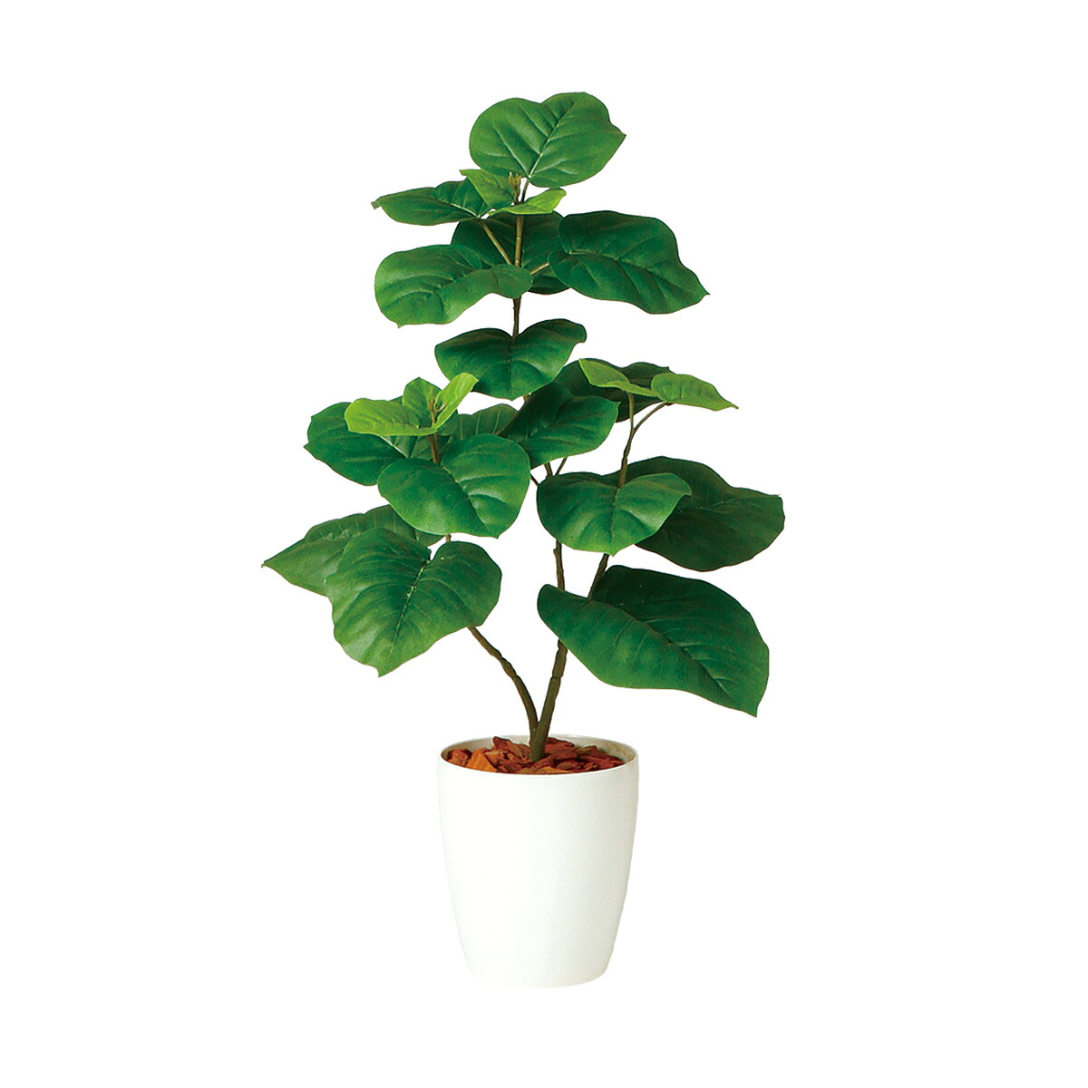 フェイクグリーン【 光触媒 ウンベラータ 】幅50 × 奥行45 × 高さ80cmオフィスグリーン 観葉植物 フェイク 人工観葉植物 大型 開業祝い 開店祝い 移転祝い 新築祝い 贈り物 おしゃれ|オフィスグリーン店
