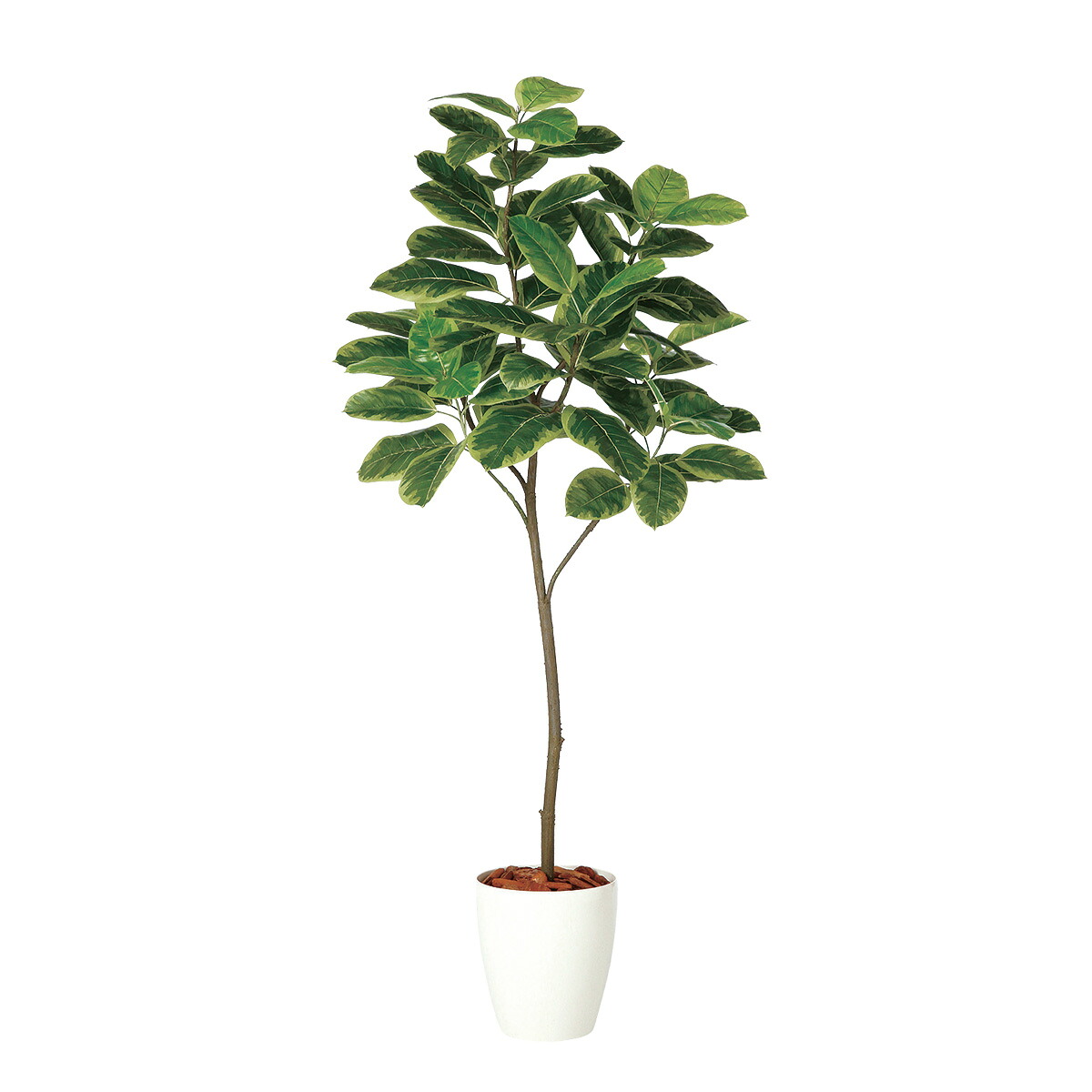 フェイクグリーン【 光触媒 アルテシマ FST 】幅70 × 奥行60 × 高さ180cmオフィスグリーン 観葉植物 フェイク 人工観葉植物 大型 開業祝い 開店祝い 移転祝い 新築祝い 贈り物 おしゃれ|オフィスグリーン店