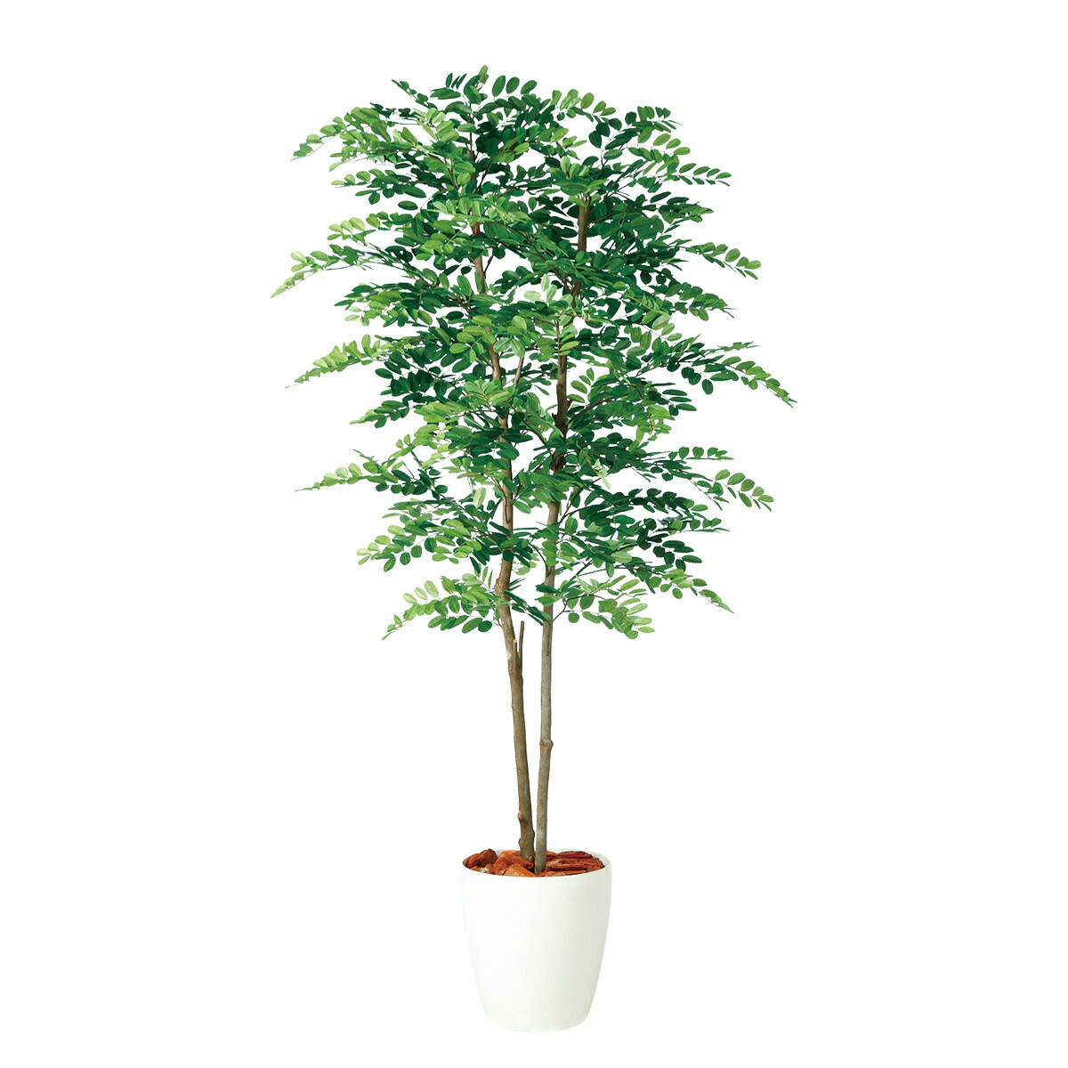 フェイクグリーン【 アカシアデュアル 】幅70 × 奥行70 × 高さ150cmオフィスグリーン 観葉植物 フェイク 人工観葉植物 大型 開業祝い 開店祝い 移転祝い 新築祝い 贈り物 おしゃれ|オフィスグリーン店