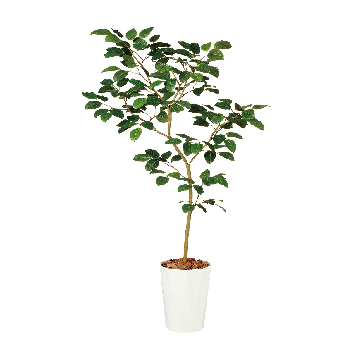 フェイクグリーン【 光触媒 ベンガルボダイジュ FST 】 幅110 × 奥行80 × 高さ180cm オフィスグリーン 観葉植物 フェイク 人工観葉植物 大型 開業祝い 開店祝い 移転祝い 新築祝い 贈り物 おしゃれ