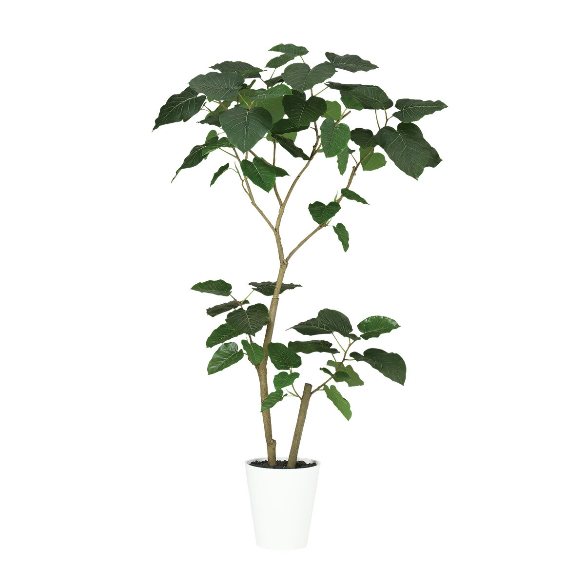 光触媒　人工観葉植物　フェイクグリーン　ウンベラータ2本立FST 楽天市場】フェイクグリーン【 光触媒 HQ ウンベラータ FST 2本立