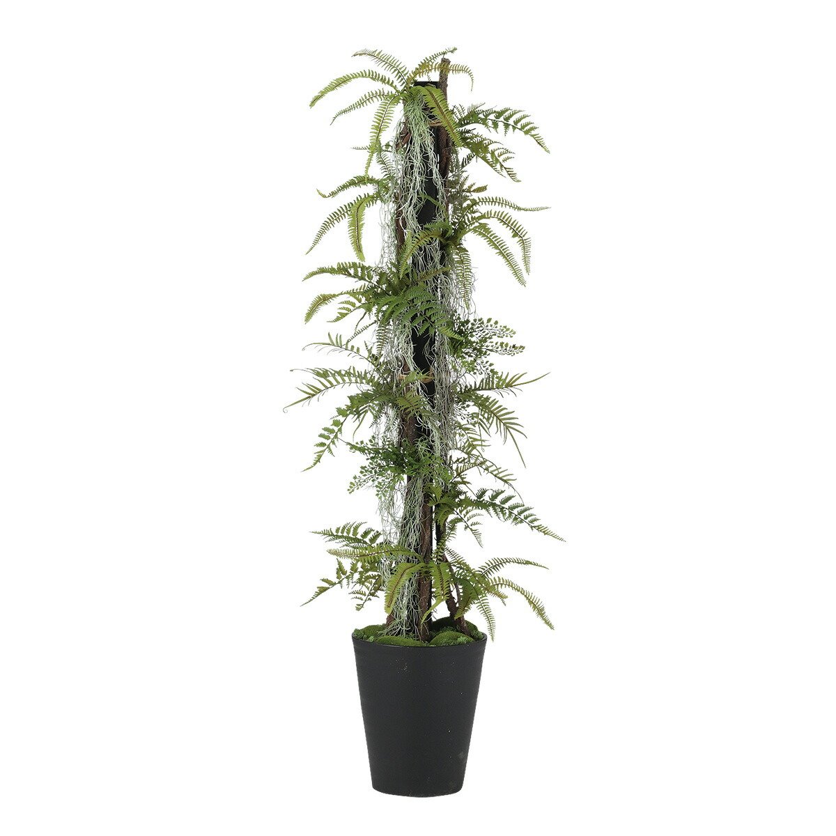 フェイクグリーン【 光触媒 ミックスファンヘゴ 】 幅45 × 奥行45 × 高さ150cm オフィスグリーン 観葉植物 フェイク 人工観葉植物 大型 開業祝い 開店祝い 移転祝い 新築祝い 贈り物 おしゃれ 38,727円