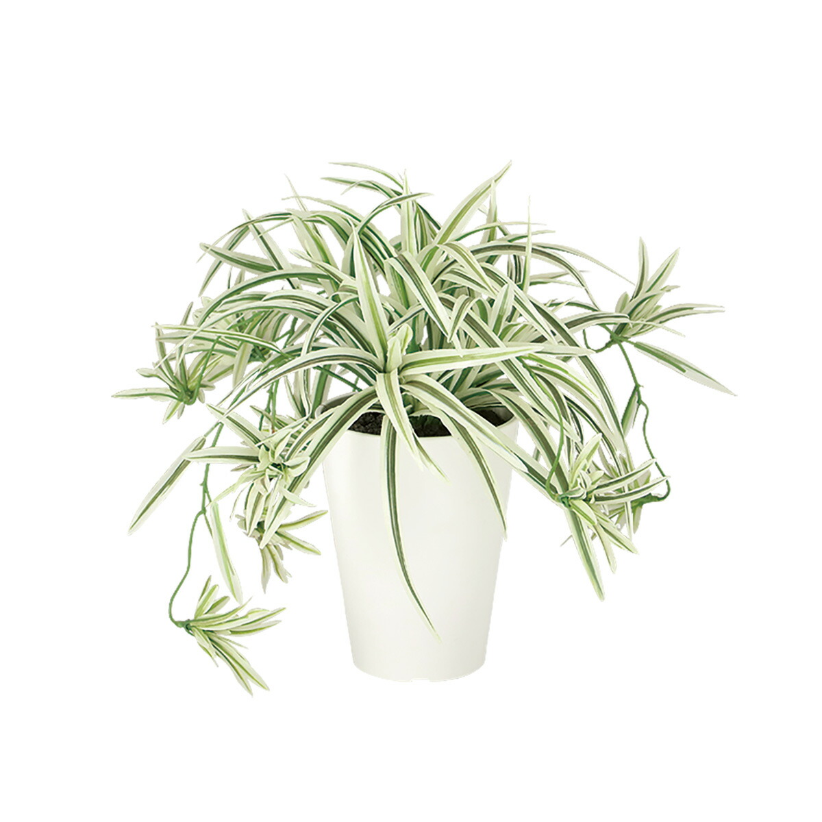 フェイクグリーン【 オリヅルラン W/G 】 幅30 × 奥行30 × 高さ30cm オフィスグリーン 観葉植物 フェイク 人工観葉植物 卓上 開業祝い 開店祝い 移転祝い 新築祝い 贈り物 おしゃれ