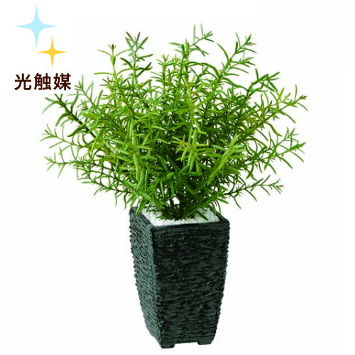 フェイクグリーン 人工観葉植物 インテリアグリーン 造花 人工観葉植物 オフィスグリーン 人工樹木 造花 開店祝い 移転祝い 設立祝い オフィスグリーン インテリアグリーン 新築祝い 観葉植物 大型 卓上 フェイク 新商品 光触媒加工 ローズマリー W30cm H35cm 光触媒